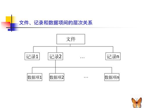 計算機系統之文件系統 計算機系統集成服務的關鍵基石